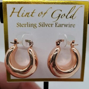 Hint Of Gold Ohrring Sterling Silber Ohrdraht Rosevergoldet Neu - Bild 1 von 6