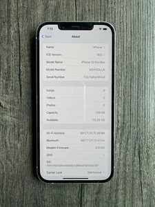 iphone 12 pro max débloqué occasion - Photo 1 sur 10