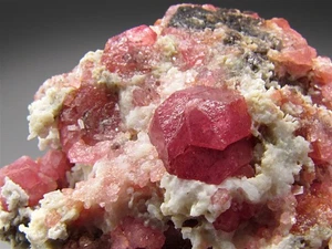 Roter Grossular Granat Sierra de Cruces Coahuila Mexiko - Bild 1 von 6