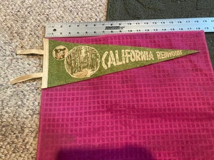 Vintage California CA Redwoods Pennant Bandiera ALBERI Orso - SPEDIZIONE VELOCE - Foto 1 di 4