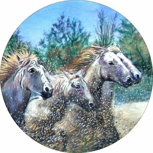 White Horses Spare Tire Cover All Sizes Available-back up camera optional - Picture 1 of 5
