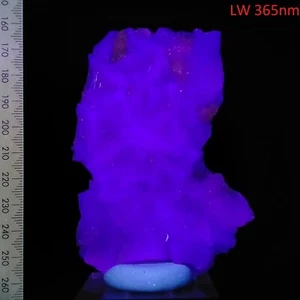 Fluorita Fluorescente Racimo de Cristal Natural Onda Larga Muestra Mineral 820ct - Imagen 1 de 8