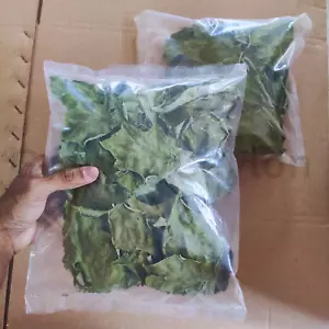 Dried Turkey Berry Leaves 100% Organic Dried Solanum Torvum Natural Pure Leaf - Picture 1 of 9