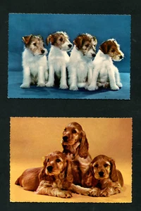 Dos PK familia de perros lote 13 (EB12) - Imagen 1 de 1