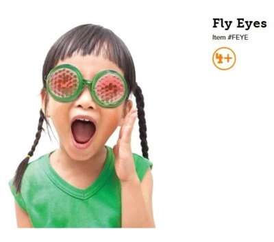 Play Visions Fly Eyes Multiple Vision Glasses Visual Sensory Processing FEYE - Image 1 of 4