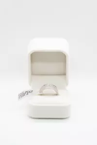 10 ct White Gold Diamond ring (Michael Hill) papers included 0.87ct pave diamond - Picture 1 of 10