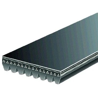 Cinturón serpentino puertas K080496 para Orion Bus VII Nova Corporation piso bajo 40 03 Foto 1 de 3