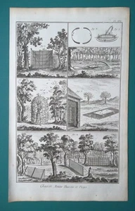 HUNTING Blackbirds Wolves Hares Traps Loops Winter - 1763 Diderot Print - Picture 1 of 1