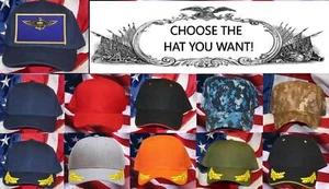 SOMBRERO DE ALA PILOTO DE LA MARINA EE. UU. PARCHE GORRA TOPGUN NOMBRE USS FLIGSUIT PIN UP AIRSHOW WOW - Imagen 1 de 31