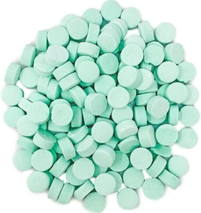 SweetGourmet Green Spearmint Lozenges | Canada Mints Bulk Candy | - Picture 1 of 7