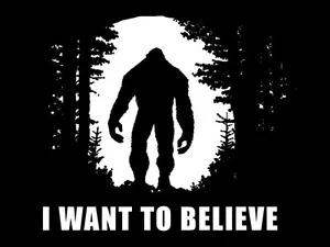 Nuovissima MAGLIETTA BIGFOOT VOGLIO CREDERE Cryptozoology UFO SM-5XL - Foto 1 di 2