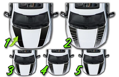 Hood Racing Blackout Stripes 1 - Se adapta a Ford 2015-2020 F150 F-150 Foto 1 de 2