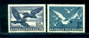 1950 Birds,Rook,Corvus frugilegus,Black-headed gull,Austria,Mi.955,MNH - Picture 1 of 2