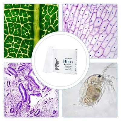 Diapositivas de microscopio cóncavas cóncavas individuales 50 piezas diapositivas de vidrio con depresión única Foto 1 de 4