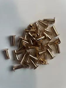 50~5/32" diameter x 31/64" long x 19/64" head diameter Brass Plated Split Rivets - Picture 1 of 1