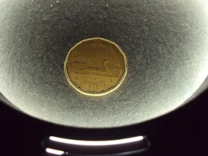 1987 Looney coin condition some wear and tarnish - Picture 1 of 2