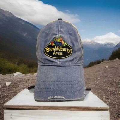 Gorra de béisbol Bumble Berry Acres Farm For You Pick Blueberries Farmers Marky Foto 1 de 4