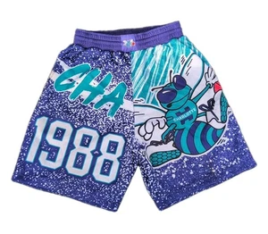 Pantalones Cortos De Colección Charolette Hornets Para Hombres Pequeños Jumbotron Sublimados Baloncesto Y2K - Imagen 1 de 15