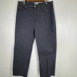 Hudson Noa Mid Rise Straight Crop Hose blau gestreift Größe 31 - Bild 1 von 15