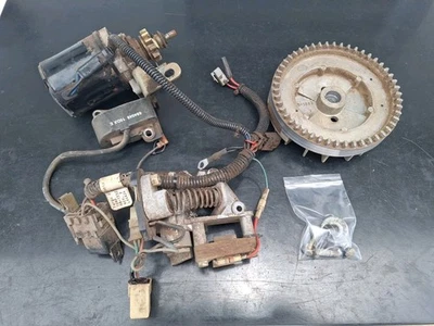 Motor de arranque y bobina de carga Lawn-Boy Duraforce 6,5 HP volante y kit de herrajes Foto 1 de 4