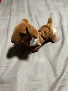 Ty Beanie Babies Weenie The Dachshund Dog - Picture 1 of 4