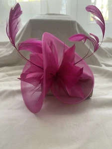 Toller Fascinator - Bild 1 von 3