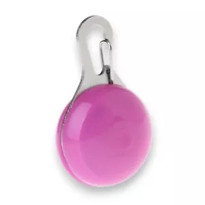 LED Perros Colgante Luz Intermitente Warnbeleuchtung Collar con Luces Fucsia - Imagen 1 de 3