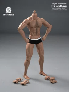 1/6th WorldBox AT027 Male Standard Muscle Body 12" Man Action Figure Model Toy - Foto 1 di 8