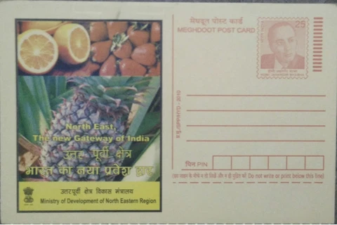 Fruits,strawberry,Orange,lemon, pomegranate,advertisement,postal stationery,food Cover