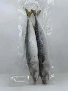 Mackerel Whole 2's - 10 Packets - Sea Fishing Frozen Dead Bait - Picture 1 of 1