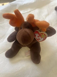 TY Beanie Baby Chocolate the Moose 1993 - Picture 1 of 3