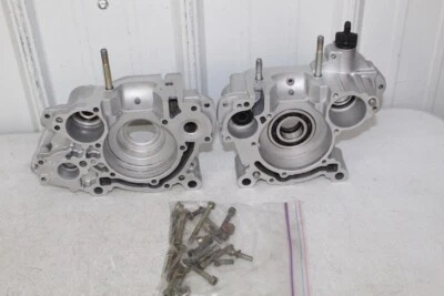 Juego de cárter de motor de kart Rotax Max FR125 FR 125 B Foto 1 de 4