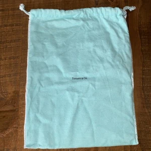 Autentico sacchetto antipolvere Tiffany & Co. grande con coulisse antiappannamento 12” x 9,5” - Foto 1 di 7
