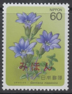 Specimen, Japan Sc1579 Alpine Plant, Gentiana Nipponica - Picture 1 of 1