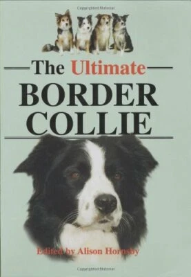 The Ultimate Border Collie by Hornsby, Alison 1860540880 The Fast Free Shipping - Image 1 of 2