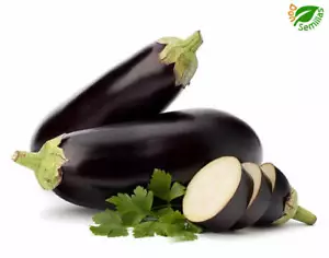 Berenjena Negra Belleza ( 200 semillas ) seeds - Redonda Black Beauty - Imagen 1 de 1