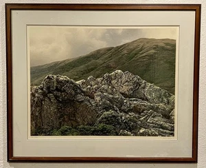 RICHARD THOMAS DAVIS Hand Signed Landscape Lithograph Limited Edition FRAMED - Picture 1 of 13