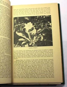 1931-LEAFLETS LEXINGTON MASSACHUSETTS BOTANIC GARDEN-Flowers,Gardening,Botany - Picture 1 of 3