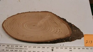 Kiln Dried White Ash Wood Slab # 213 - Picture 1 of 2