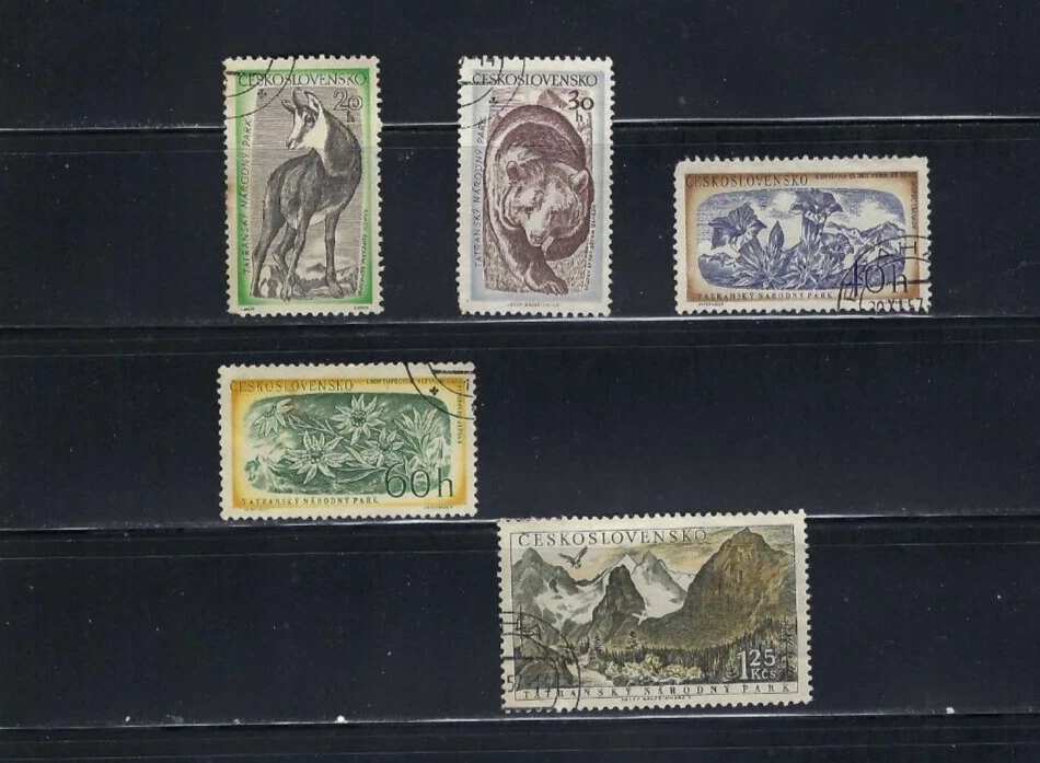 ''MONTAÑAS TATRA, GENCIANA.- OSO PARDO.- PARQUE NACIONAL {5} CHECOSLOVAQUIA Foto 1 de 1