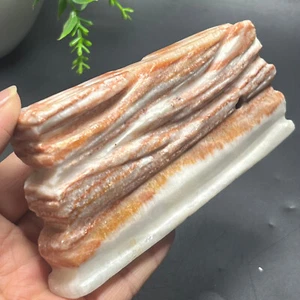 338g Natural Polished Pork Stone Meat specimen-PA71 - Picture 1 of 24