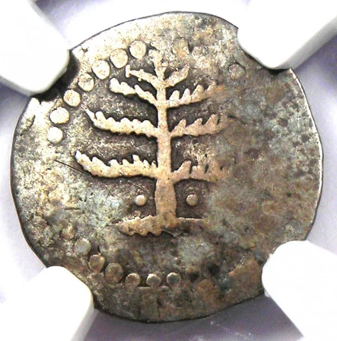 1652 Massachusetts Pine Tree Silver Sixpence 6P - NGC Certified / Clipped Cover