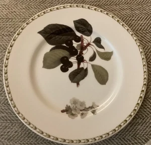 Rosina-Queens Hooker's Fruit Black Cherry Bone China Plate 10.5” England - Picture 1 of 4