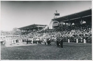 ARGENTINE c. 1952 - Concours Agricole Défilé des Angus   - P719 - Picture 1 of 2