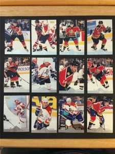 1996/97 Pinnacle Premium Stock Florida Panthers Team Set 12 Cards - Picture 1 of 1
