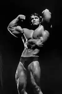 Arnold Schwarzenegger Vintage Bodybuilding Poster - Picture 1 of 7
