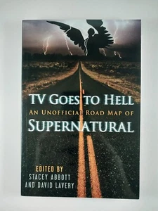 TV Goes to Hell : An Unofficial Road Map of .. by David Lavery (2011, TPB) - Imagen 1 de 3