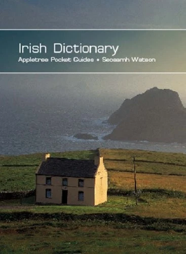 IRISH DICTIONARY - POCKET GUIDE (POCKET GUIDES) (IRISH By Seosamh Watson *VG+* - Image 1 of 1