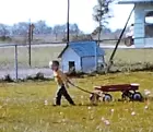 1960er Jahre kleiner Junge roter Wagen Hinterhof Mähen Spiel 8 mm Film Film