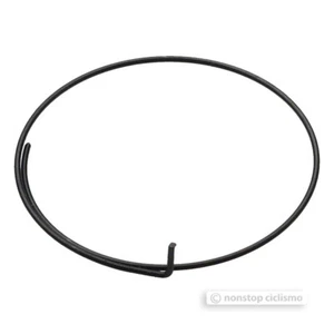 CAMPAGNOLO FULCRUM OVERSIZE FREEHUB PAWL SPRING - Picture 1 of 1